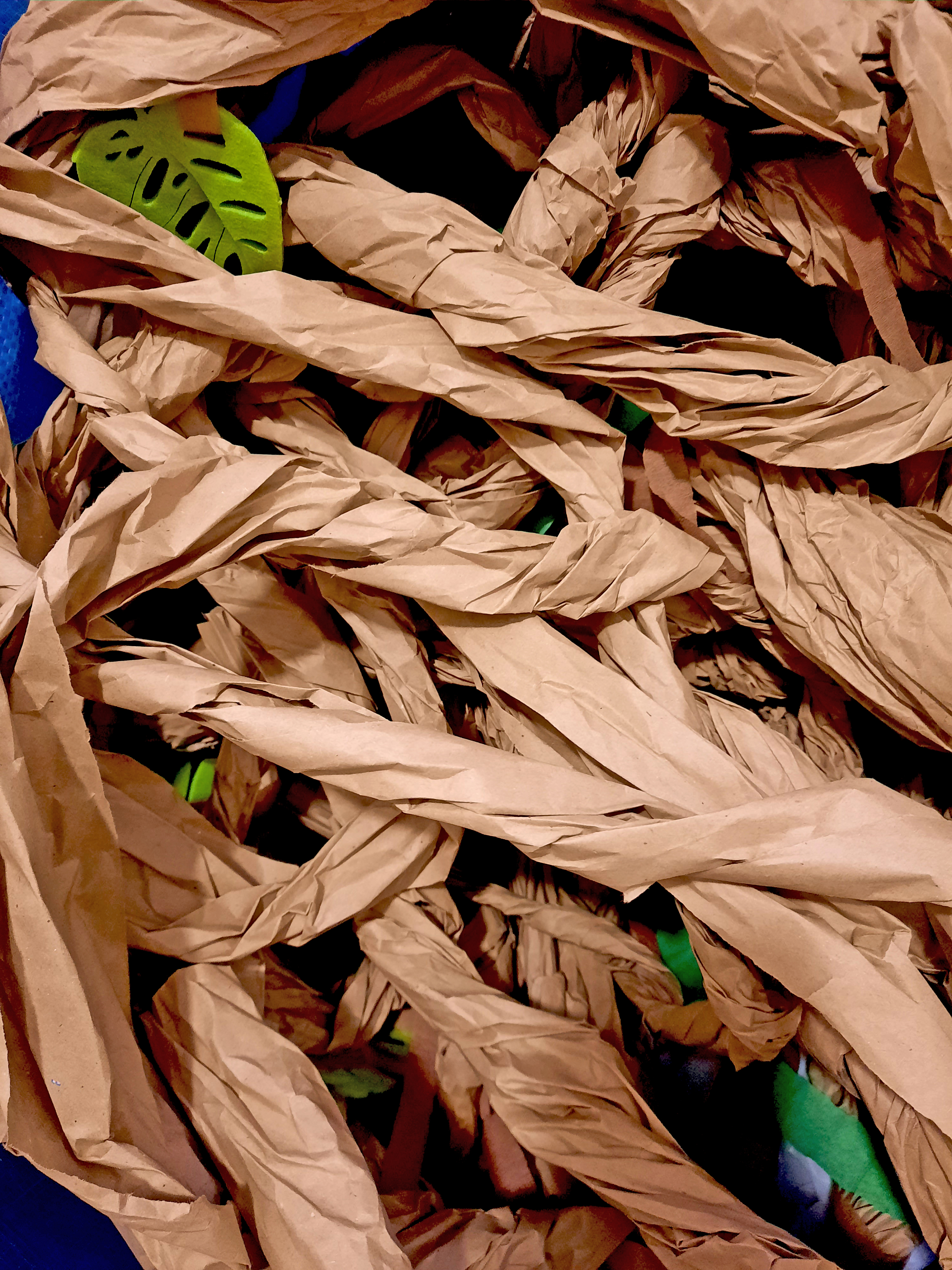 Lianas