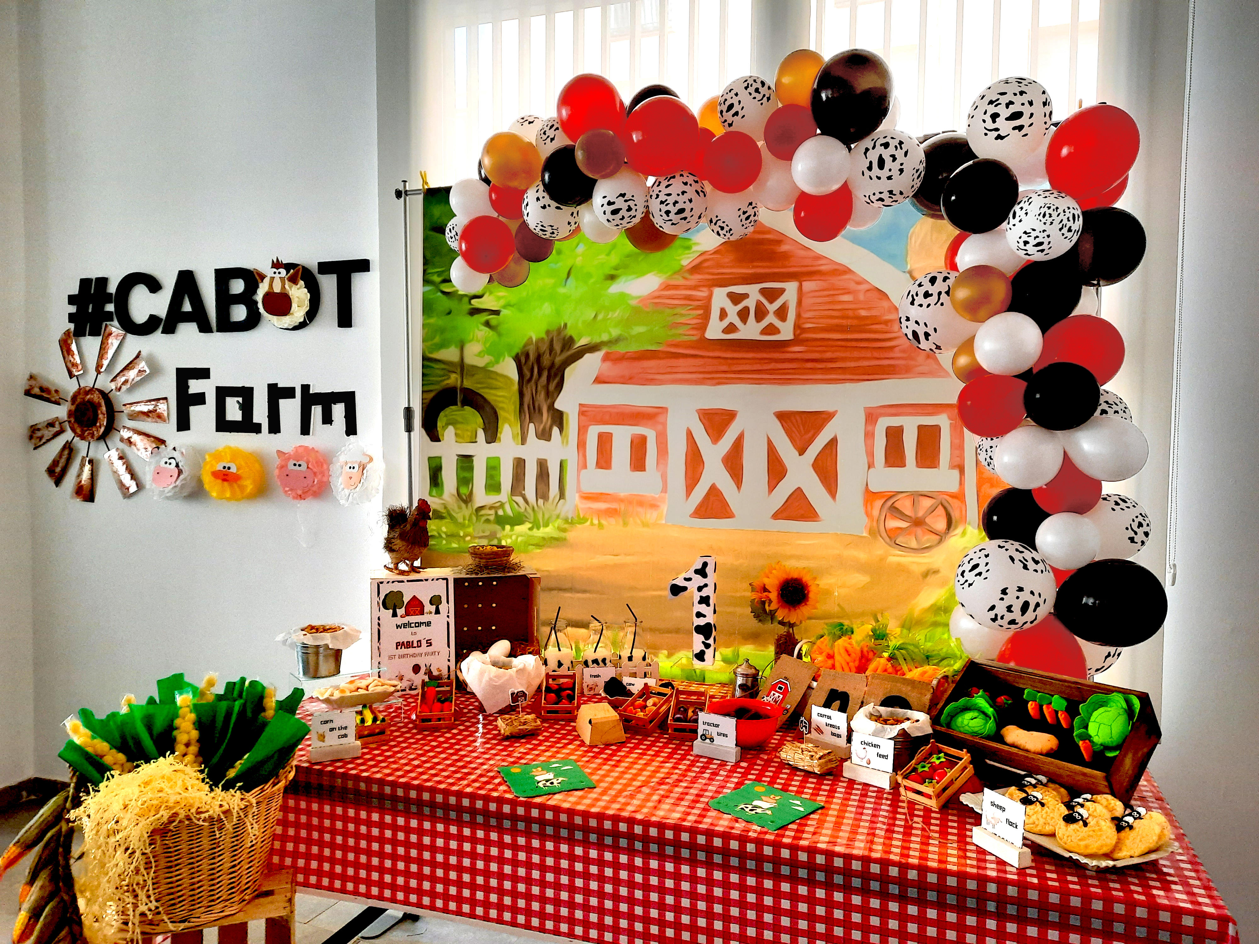 Farm Birthday Party 12