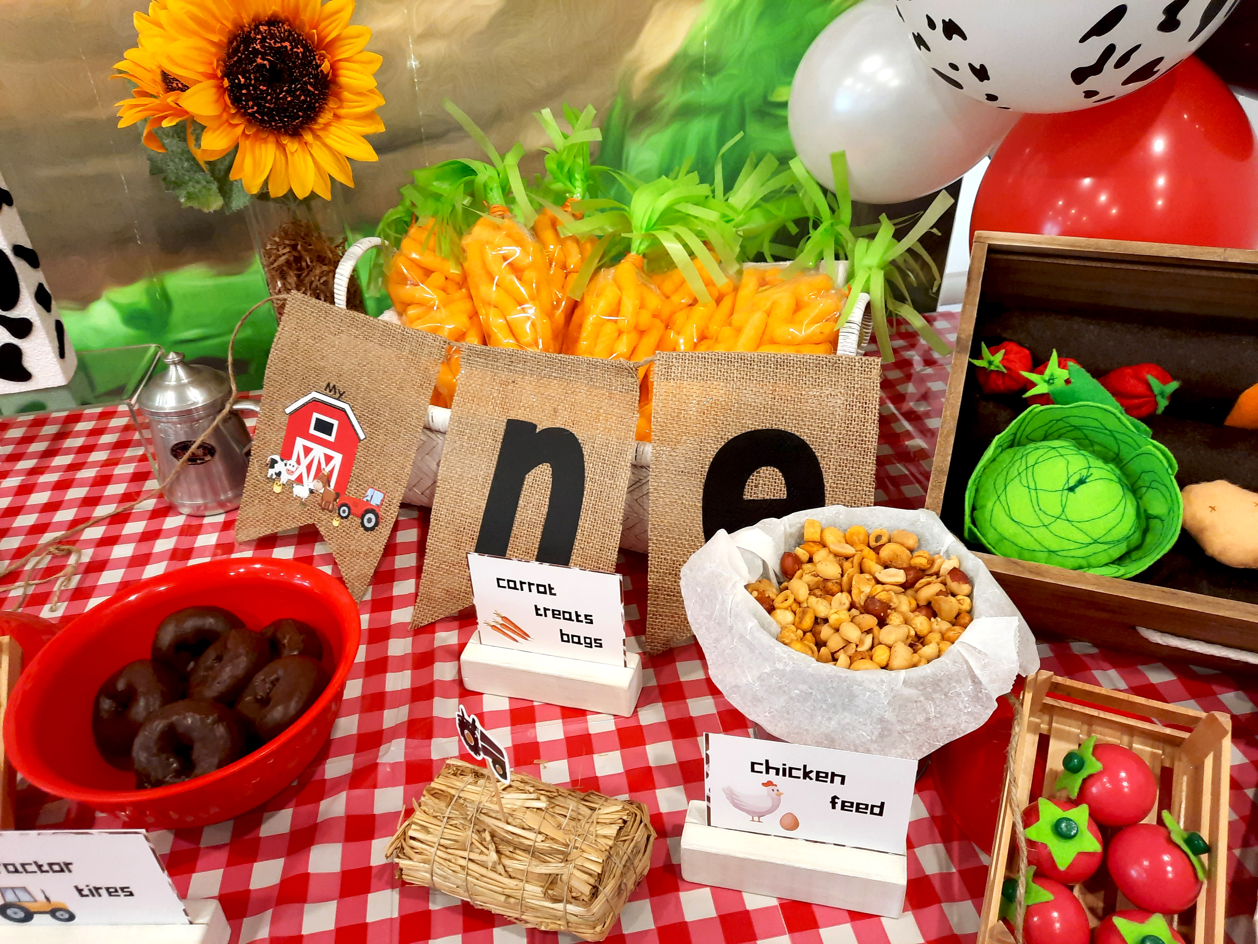 Farm Birthday Party 6