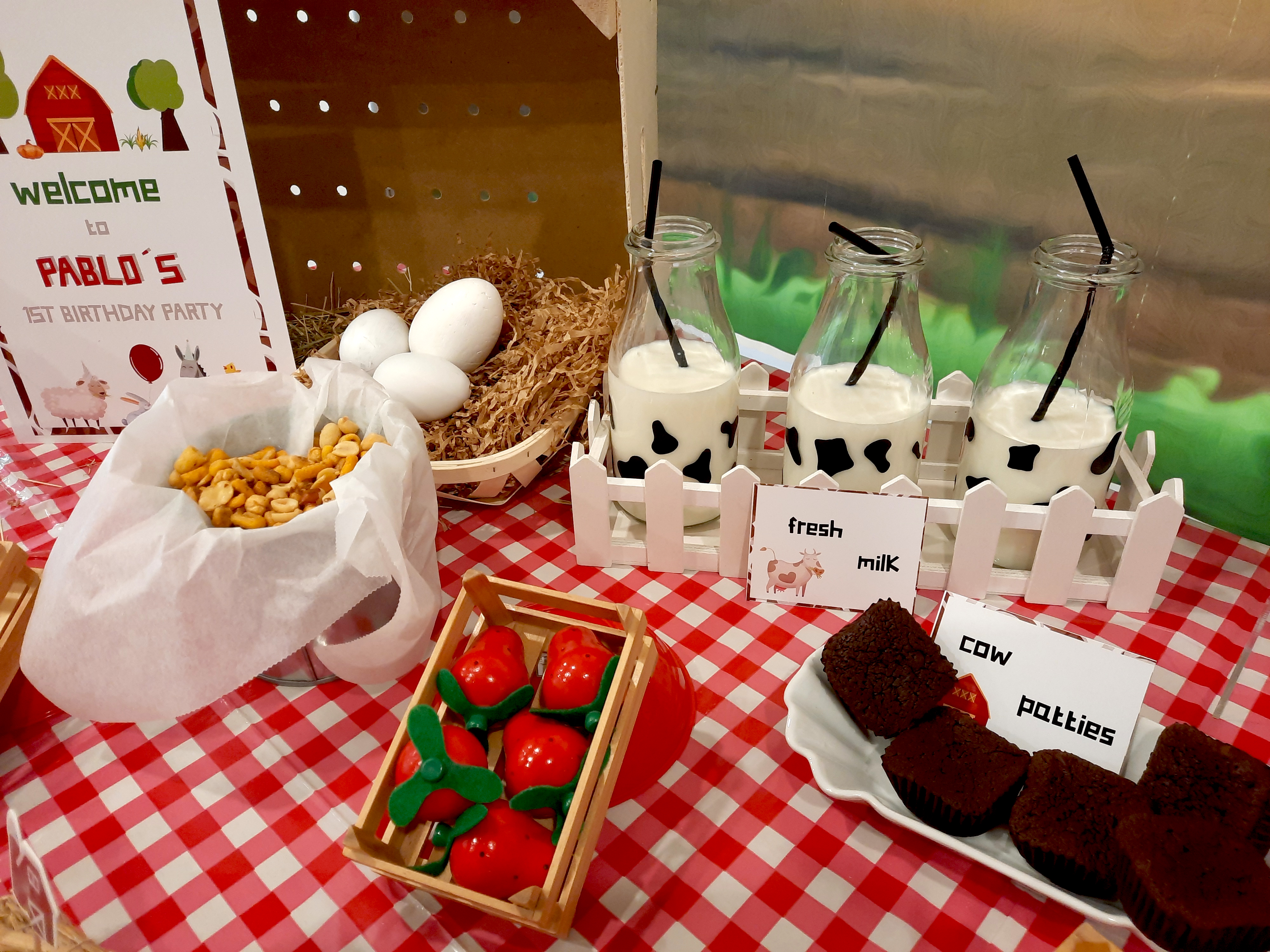 Farm Birthday Party 5