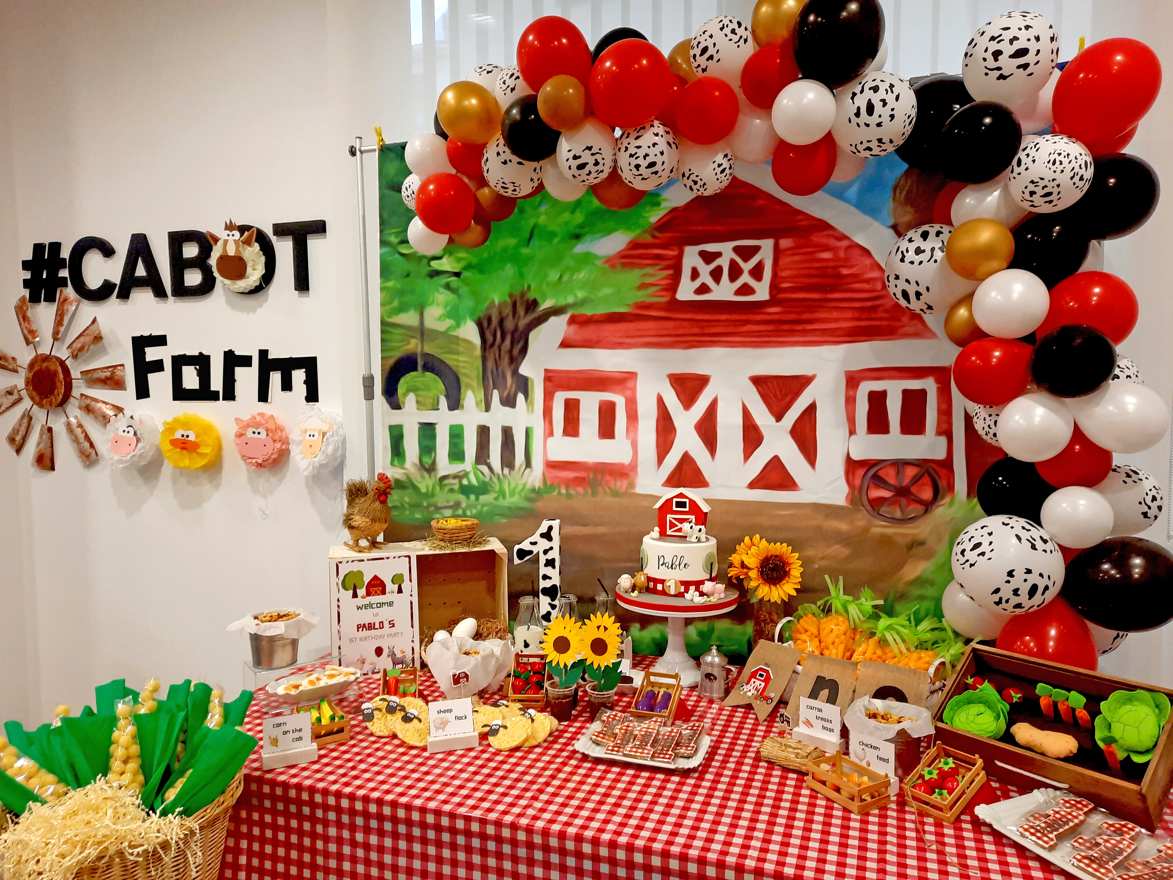 Farm Birthday Party 2