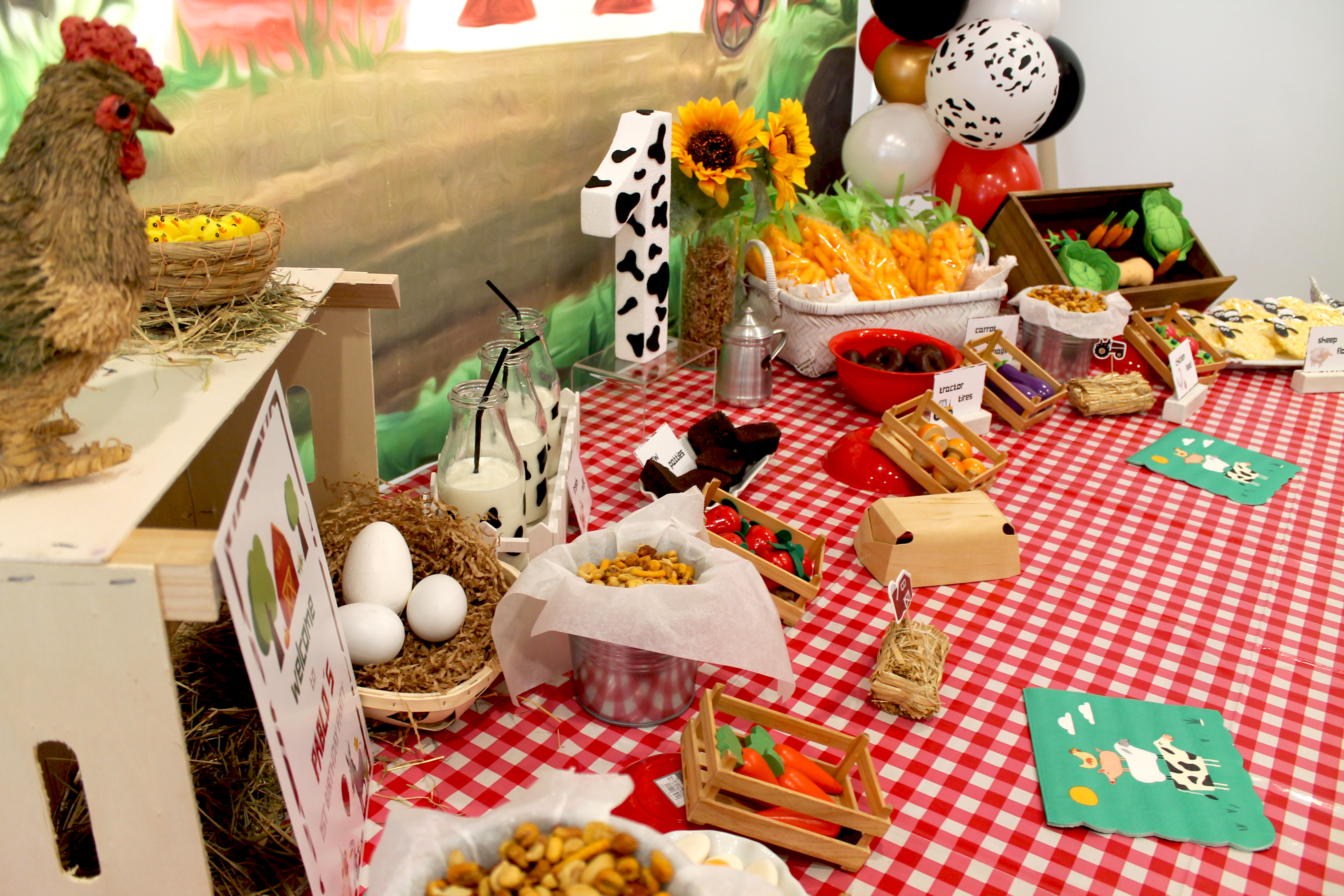 Farm Birthday Party 9