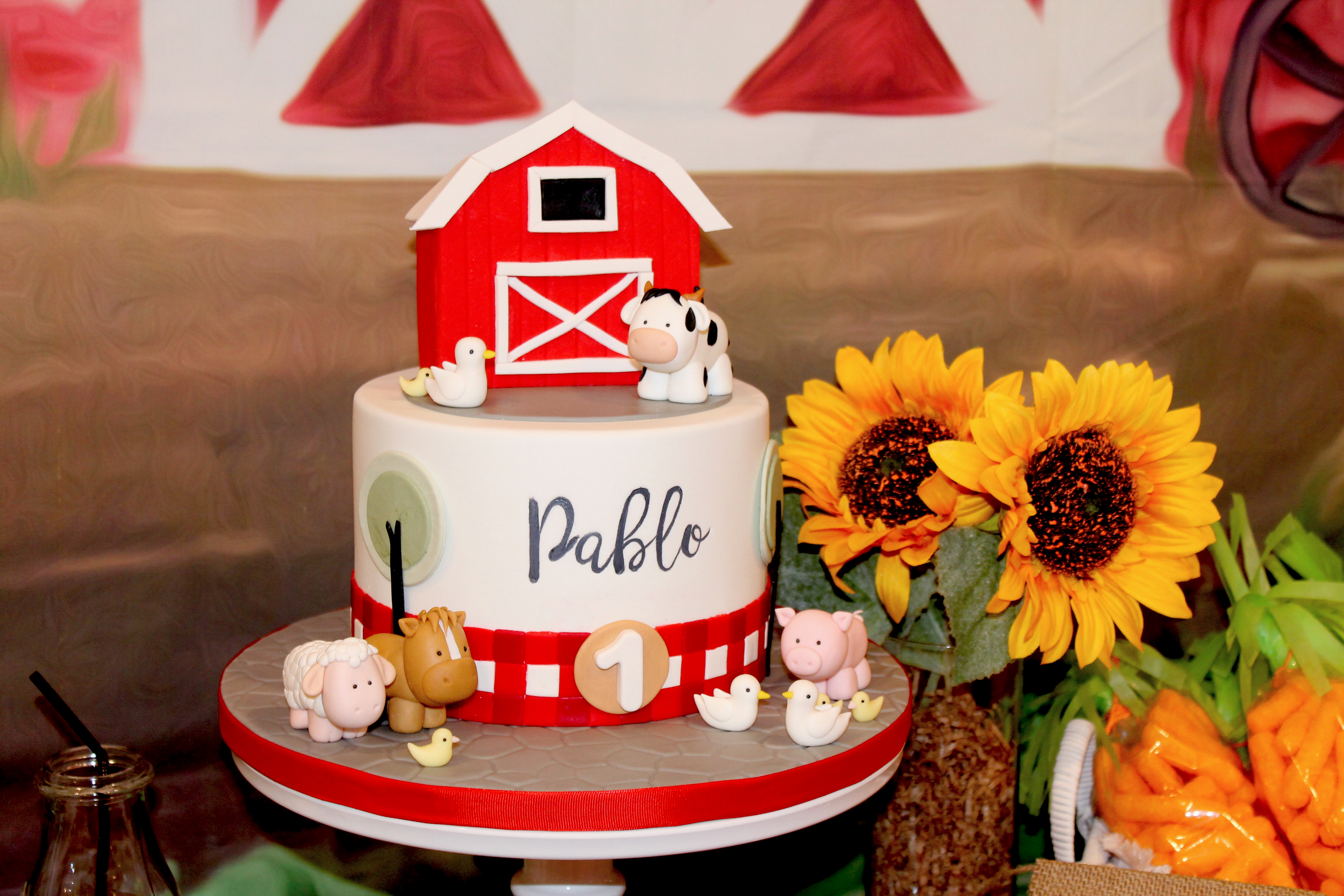Farm Birthday Party 11