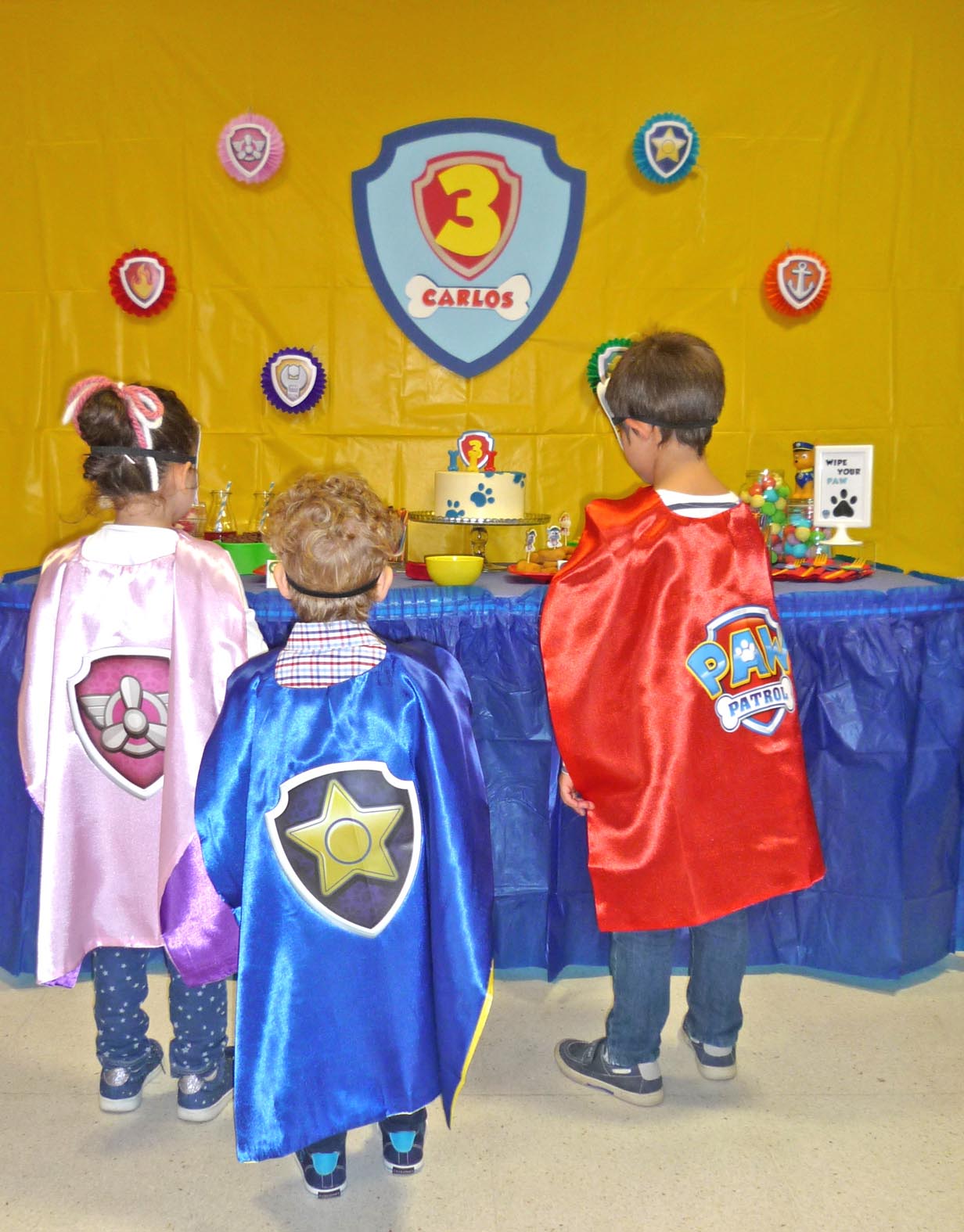 PawPatrol